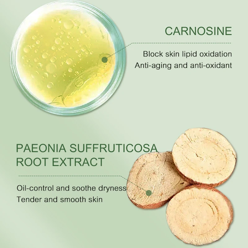 Private Label Natural Moisturizing Camellia Sinensis Leaf Extract SkinCare Hydrating nourishing Cream Carnosine Skin Care Set