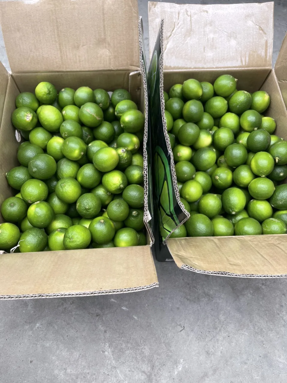 Хорошее качество 2022 свежий без семян Лайма из Вьетнама зеленый кислый лайм натуральные свежие цитрусовые свежие-WS 0084 989 322