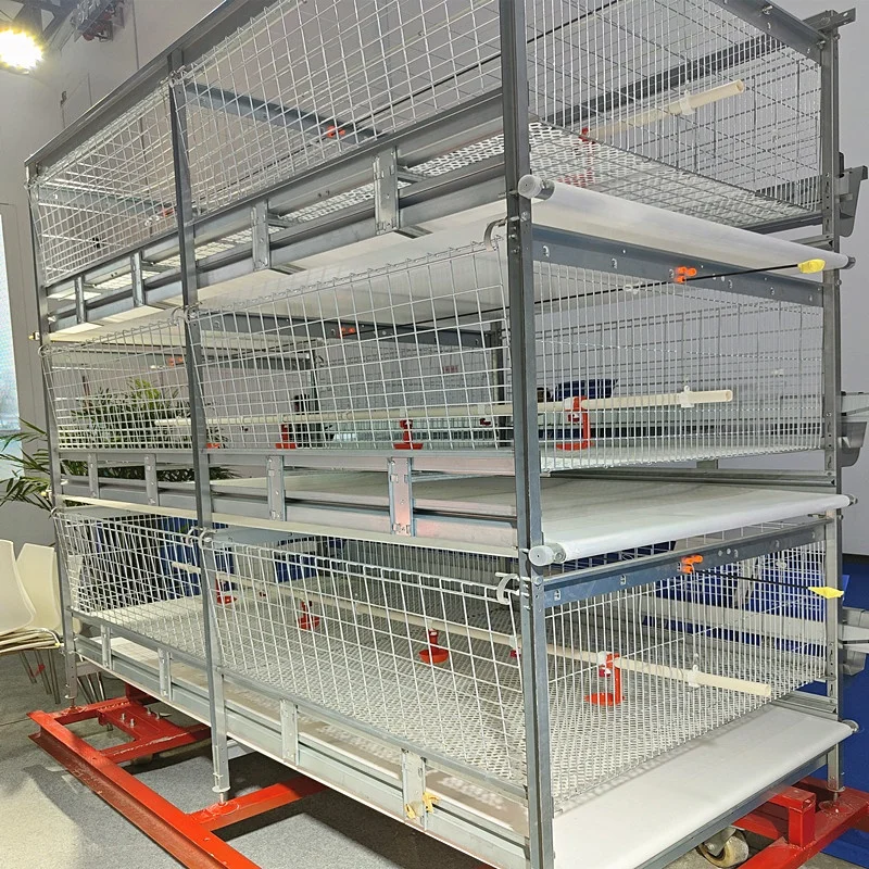 Chicken Battery Cage Feeding System of Poultry Broiler