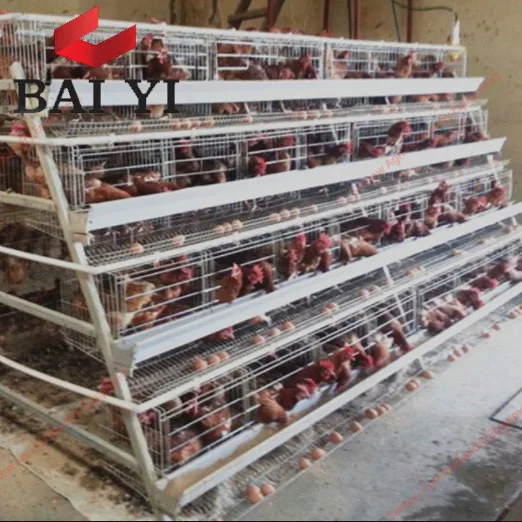 Chicken Coop Large, Chicken Coop With Large Run,Large Chicken Coop