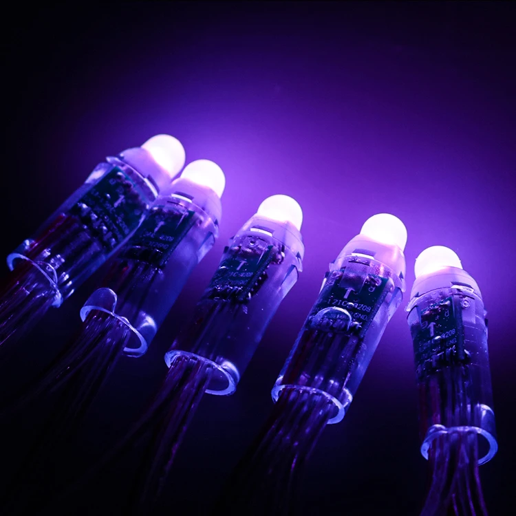 SHIJI Outdoor Full Color 12V 2811 12mm Round Led Pixel GS8208 Break Point Resume Led String Light Christmas Lights