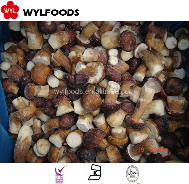 Frozen Whole Boletus Edulis Fresh Cultivated Fungus Slice Raw and Cube for Food and Health Supplements