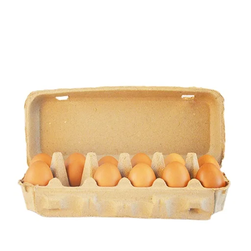 Paper Eggs Tray Wholesale Disposable Recycle 12 cells Pulp Eggs carton Bio Degradable can be customized