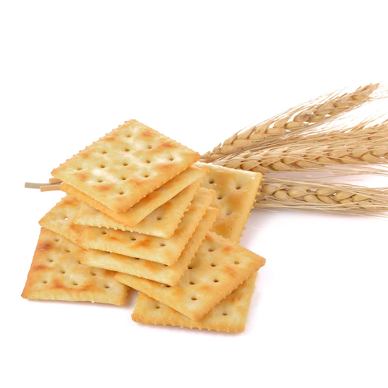 Healthy milk salt biscuits onion saltines soda crackers