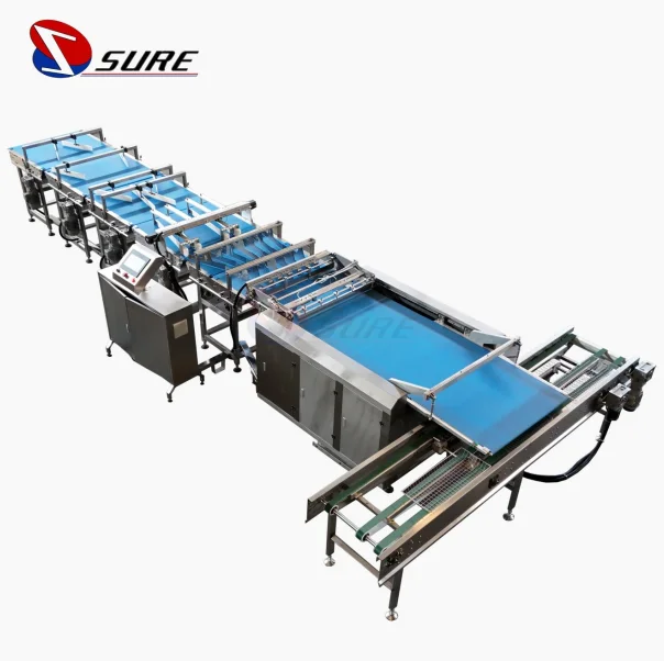 Biscuit Cookies Feeding and Packaging Line Automatic Feeding and Packing Line Automatic Production Line for Cake Packing Machine