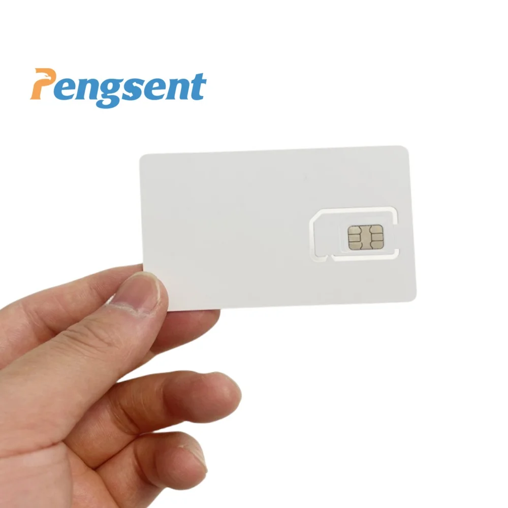 Pengsent Global M2M IOT Sim Card For GPS Wired WirelessTracking Device