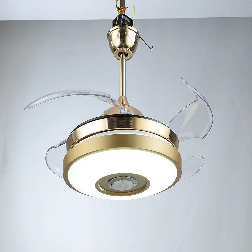 ceiling fan with hidden blades