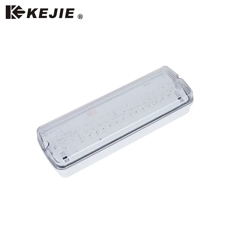 IP65 LED Wall Mounted Bulkhead Light LED Emergency Light Rechargeable