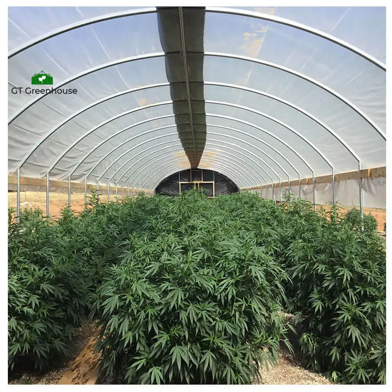 200 micron film greenhouse Agricultural plastic film tunnel single-span greenhouse for sale