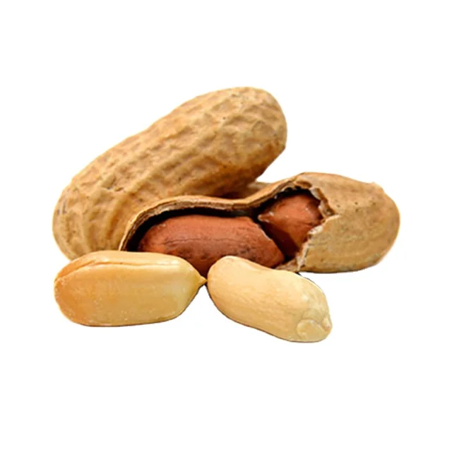 peanuts red raw peanuts prices south africa with shell food crispy nuts snacks flour coated roasted peanuts
