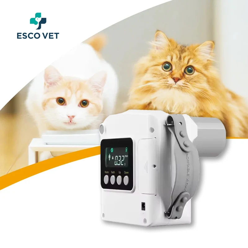 Оптовая продажа портативный ветеринарный стоматологический рентгеновский блок Датчик Rvg для цифровой стоматологической помощи