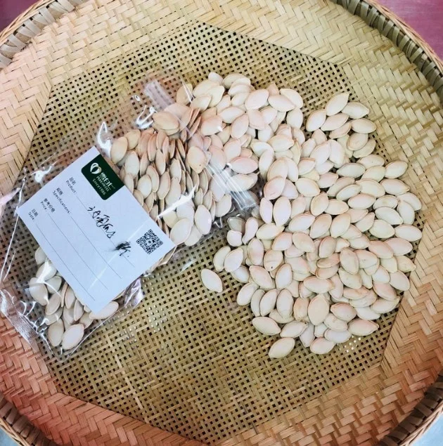 new crop chinese pumpkin seeds organic pumpkin seeds price