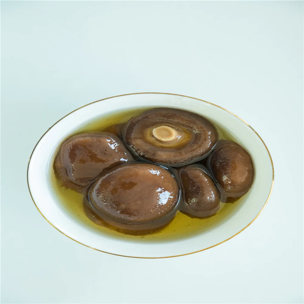 
 Распродажа: свежий консервированный гриб Shiitake высокого качества  