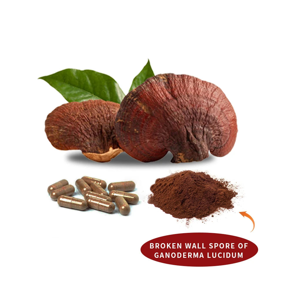 Reishi shell-broken spore Extract ganoderma lucidum wall-broken spore powder capsules 100%pure healthy supplement