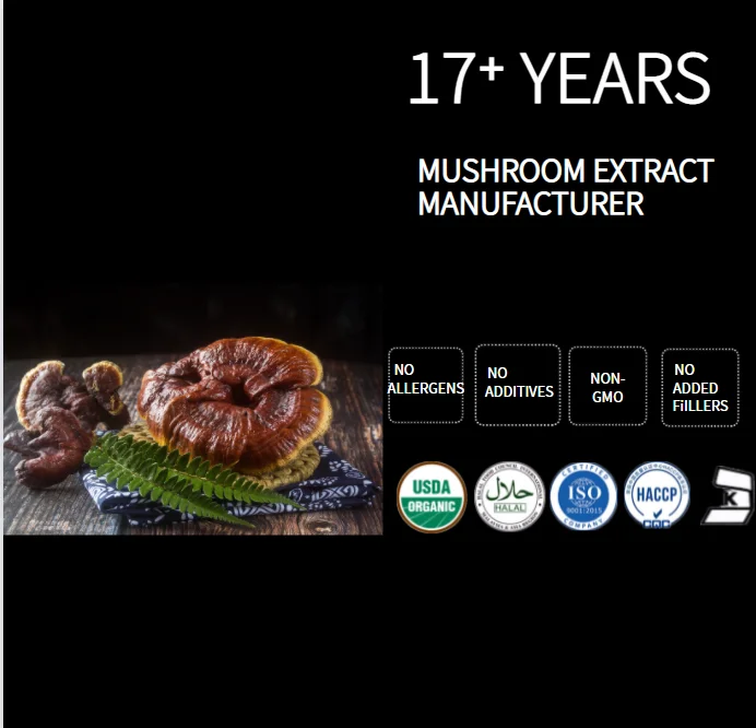 100% Natural EU Organic Food Grade Reishi Mushroom Extract Powder
