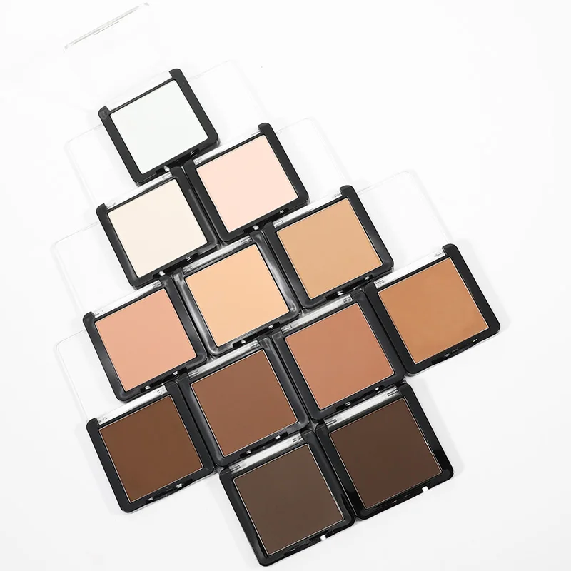 OCHAIN Best Makeup 12 color Face Private Label OEM Pressed Powder Foundation And Powder For All Skin