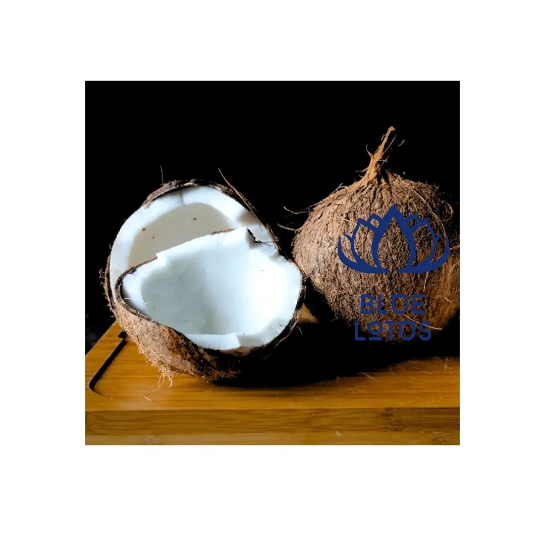 Низкая цена голубая ферма лотоса вьетнамский высококачественный зрелый кокосовый полуочищенный 2023