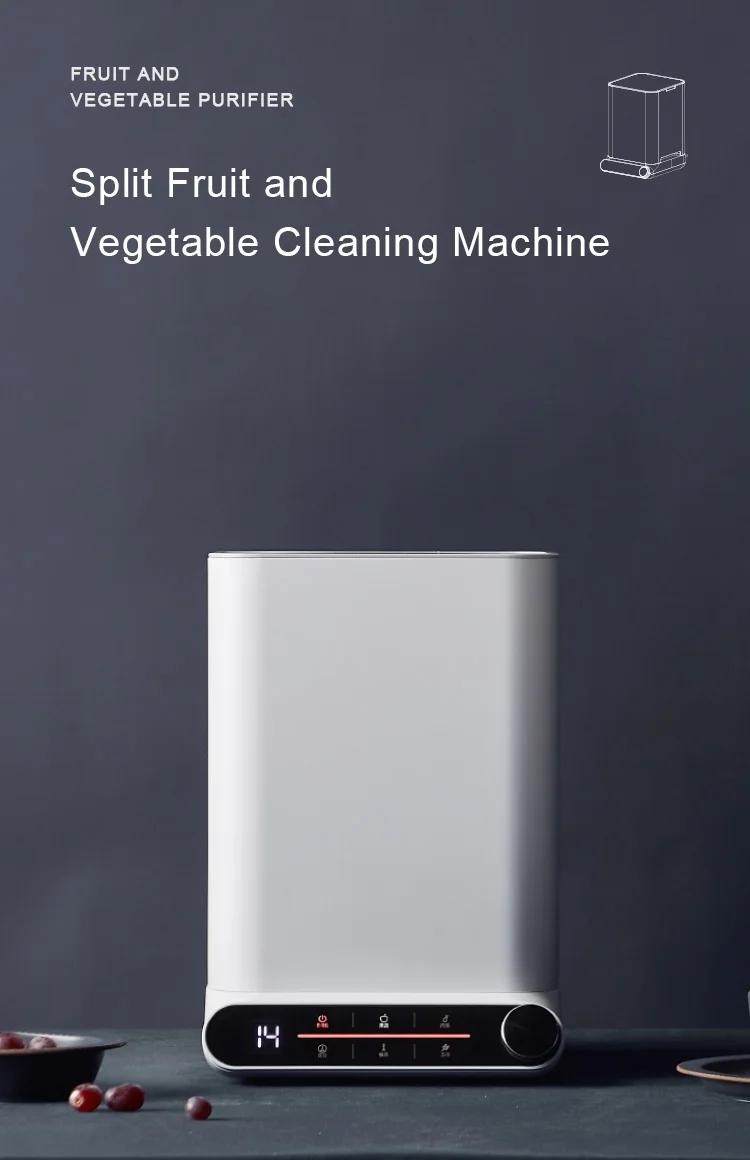 vegetable cleaner (1)
