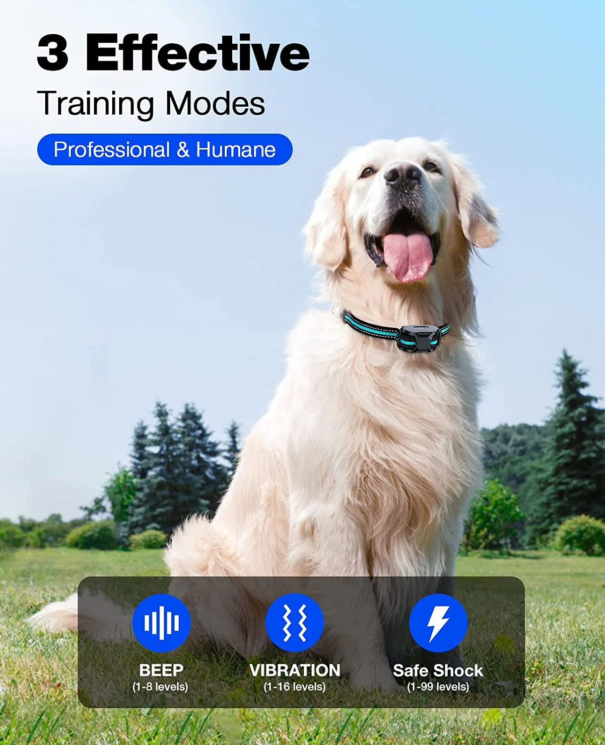 Remote Dog Training Collar 2 Pack Shock Collar For Dog IP67 Waterproof Rechargeable Beeper Vibration Safe Shock for All Breeds