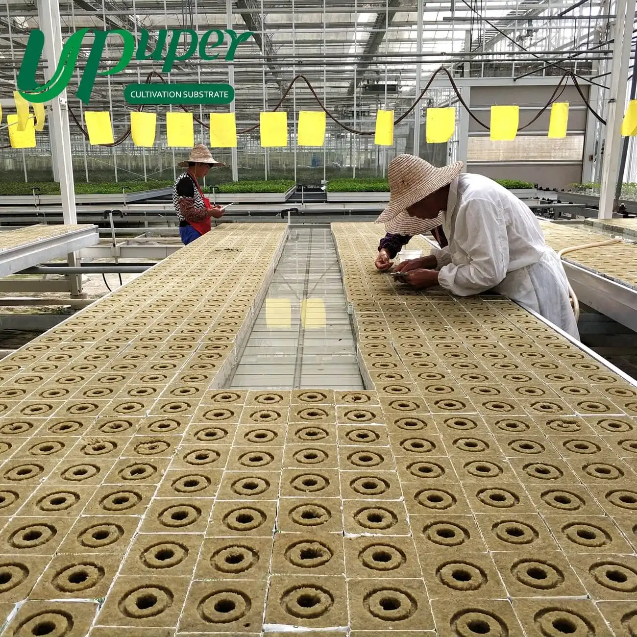 UPuper дешевые Гидропонные фермерские системы для выращивания гидропонных изделий из минеральной