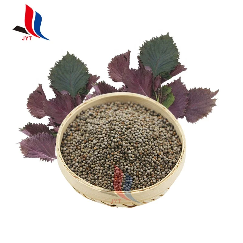 Терапевтическое масло для перевозки семян периллы для уменьшения холестерина