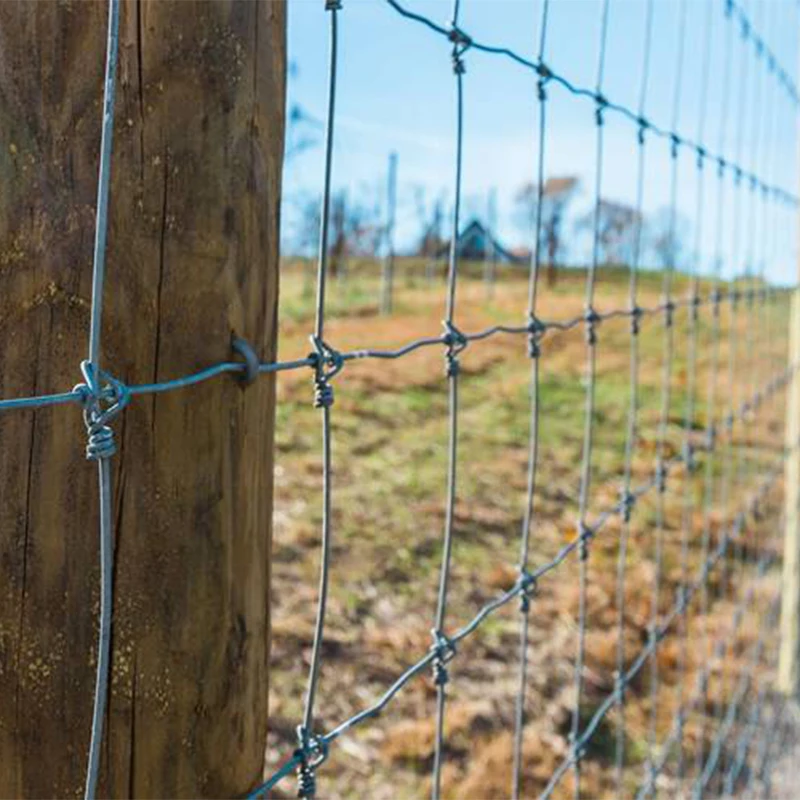 PVC Coated Edge Wire Fixed Knot Woven Wire Farm Fence