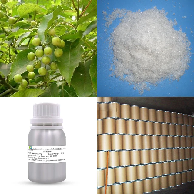 
High quality camphor powder natural 