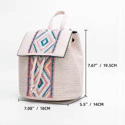 Large Capacity Cute Mini Backpack Women Mini Straw Beach Shoulder Bag Natural Straw Mini Backpack