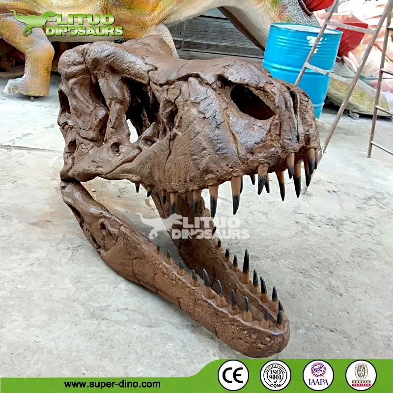  Тематический парк популярный череп динозавра T Rex