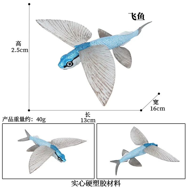 CJJ174 7521.jpg