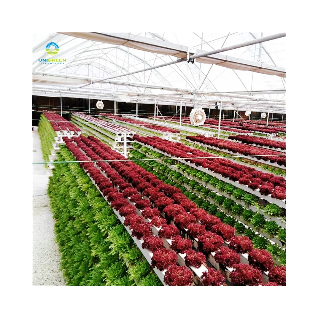 Greenhouse Planting A-frame Hydroponic Growing System Flat Pipe Agriculture Type A Hydroponics Grow Kit Systems