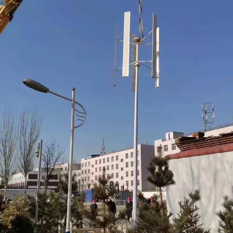 Vertical Axis Wind Power Generation System 600W Small Wind Turbine 12V/24V Alternative Energy Generator