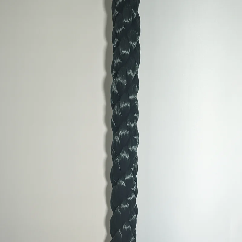 Brand New Plastic Twinepe Rope For Agriculture And Fishing Application