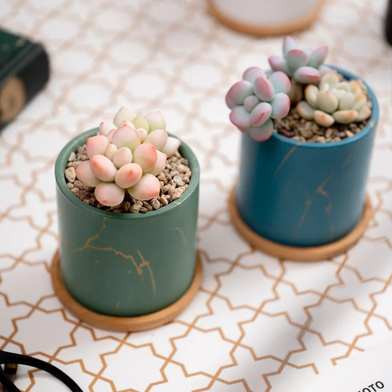 Wholesale Simple Color Ceramic Succulent Flower Pot