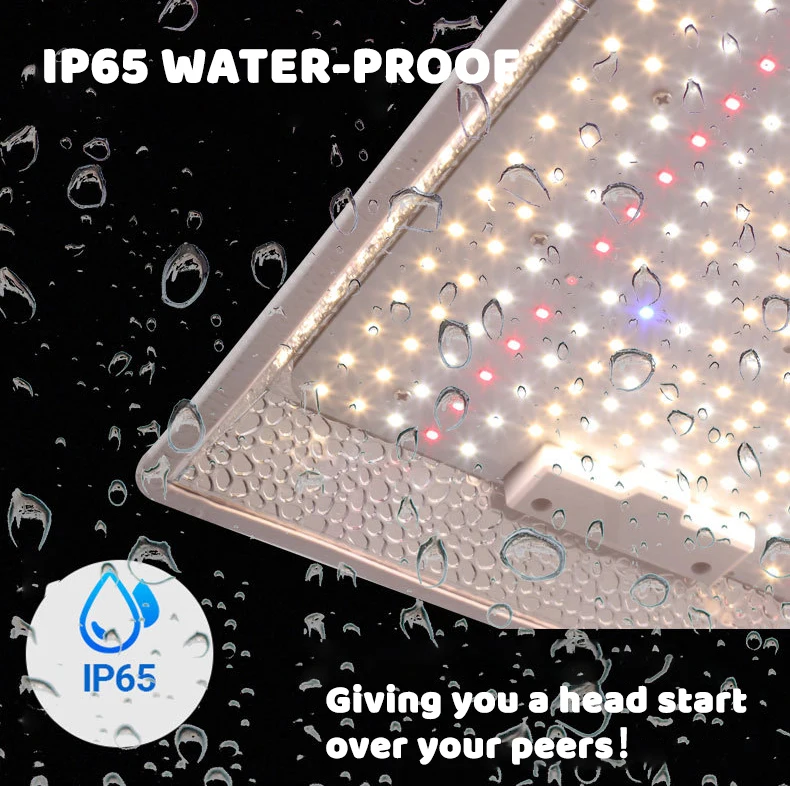 Greeden Best Wholesale150w 660nm Red Lm301b Full Spectrum Led Grow Lights for indoor tent