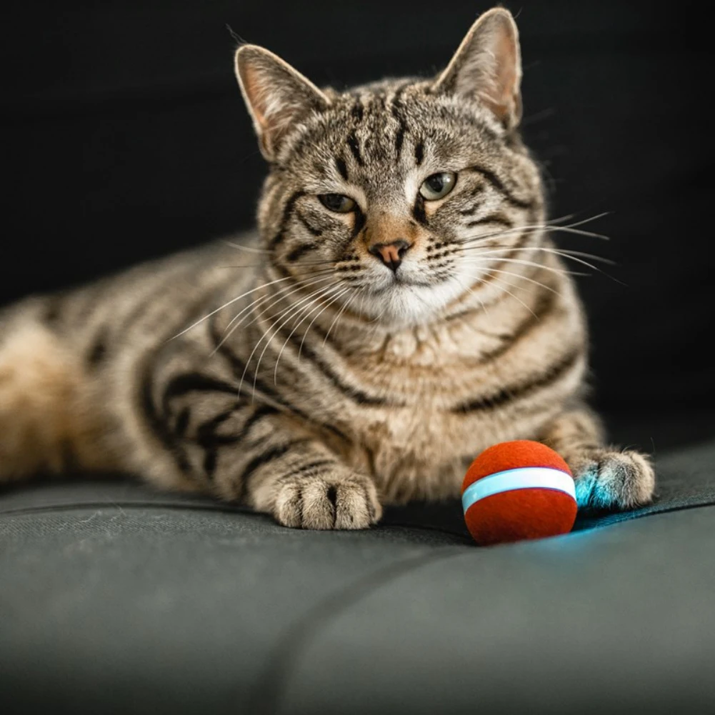 Wholesale Interactive Robot Cat Toys Automatic Irregular Self Rotating Ball Smart Cat Ball for Cats Kitty