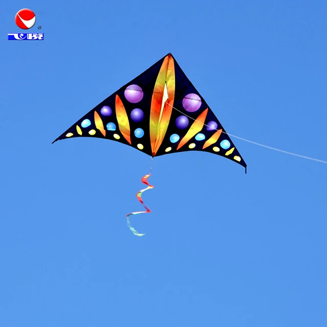 
Easy flying colorful delta kite 