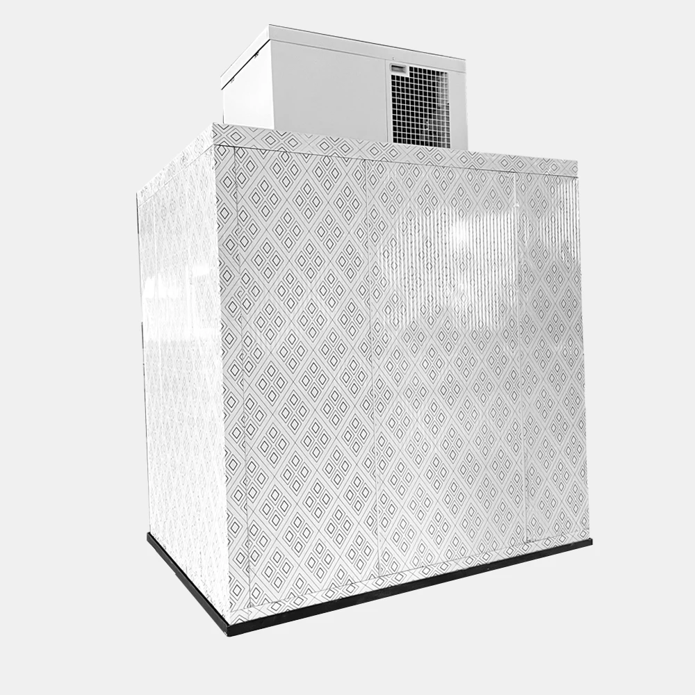 China Cold storage manufacturer Mini Cold Storage sells portable cold storage preservation food