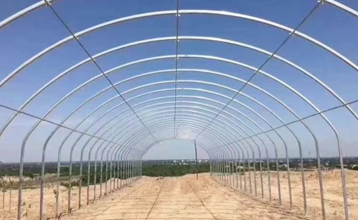 High strength galvanized steel pipe agricultural greenhouse, animal husbandry greenhouse,   cattle / sheep / chickens greenhouse