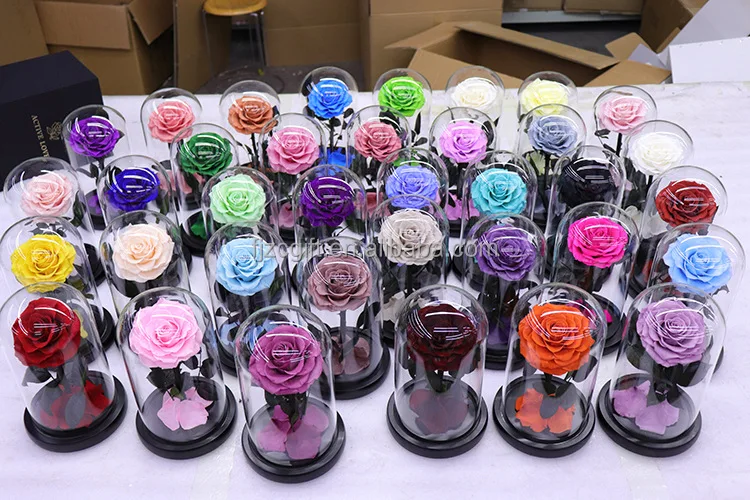High Quality Eternal Rose Led Flowers Morthers Day Everlasting Preserved Flower Forever Roses In Glass Dome
