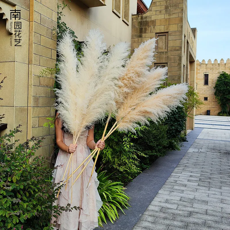 Amazon Top Seller Decoration Dried Flowers Large Natural White Fluffy Pampas Grass For Wedding Decoration