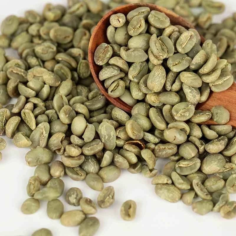 Wholesale Arabica Coffee Beans 100% pure organic coffee high grade Arabica Green Coffee Beans from Vietnam