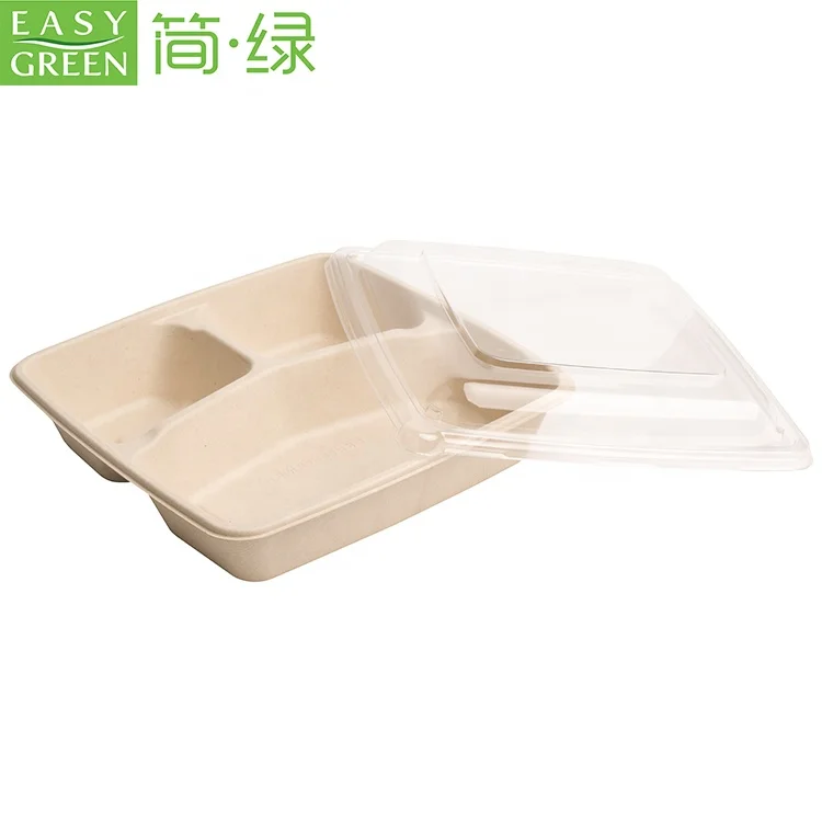 Easy Green disposable 3 compostable eco friendly takeaway food packaging
