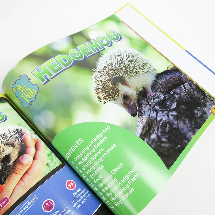 Оптовая продажа детская учебная книга для детей