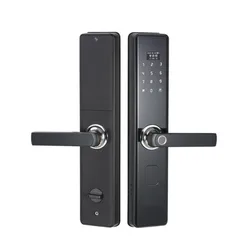 Custom Cheap Battery Powered Fingerprint Password Card Apartment System Indoor Panel Door Smart Locks with Screen