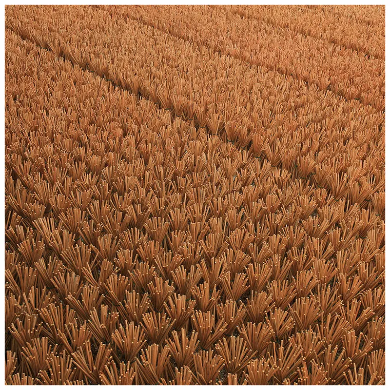 Сменная Кокосовая щетка
