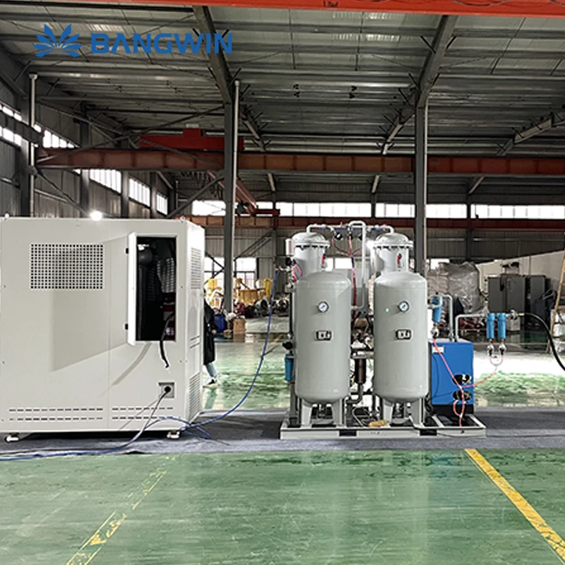 BW Factory Price 30L/hr Small Liquid Nitrogen Plant Ln2 Generator Liquid Nitrogen Machine