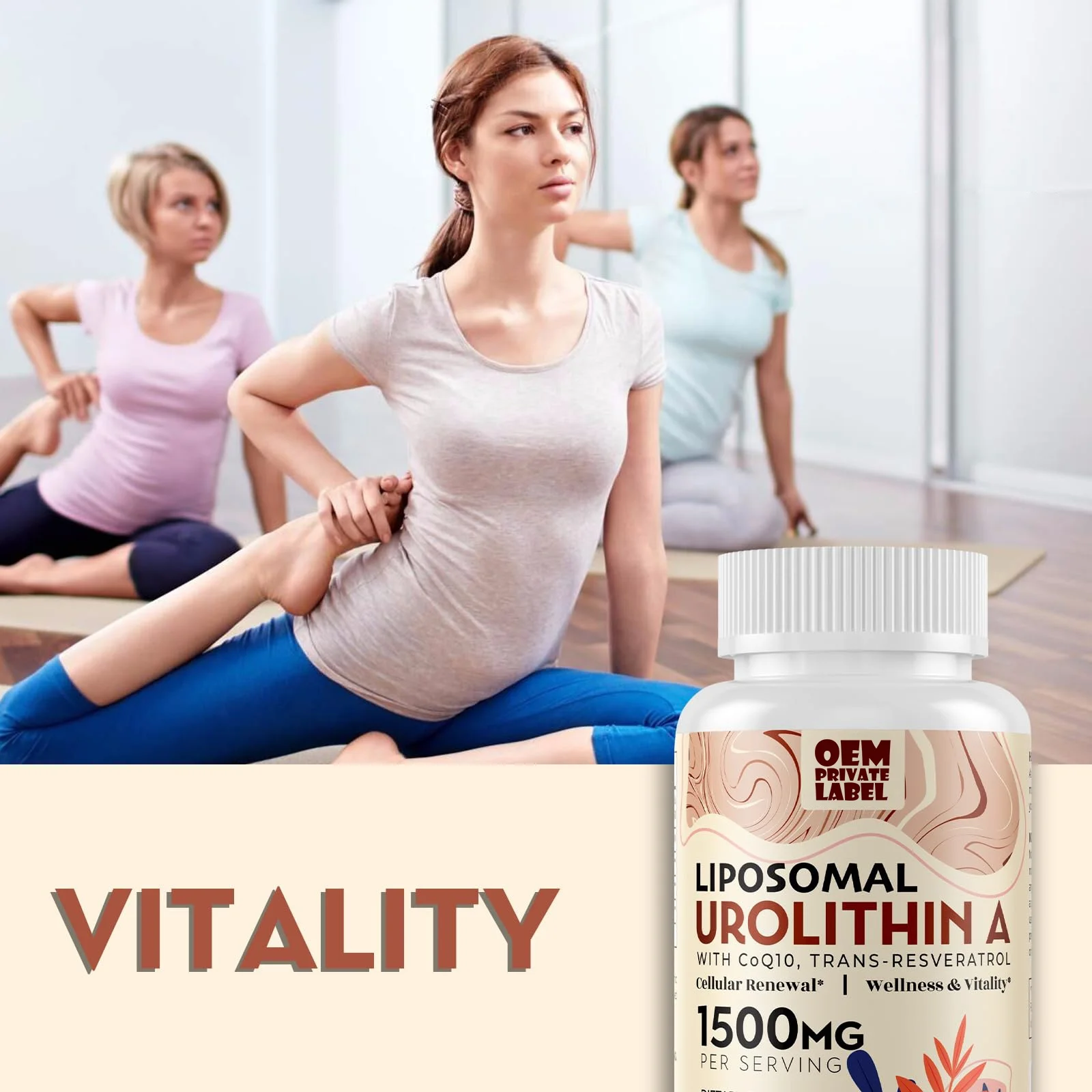 Urolithin A Capsules Urolithin A Supplement 1500 mg CoQ10 Trans Resveratrol Urolithin A Blend Resveratrol Inositol Capsules OEM