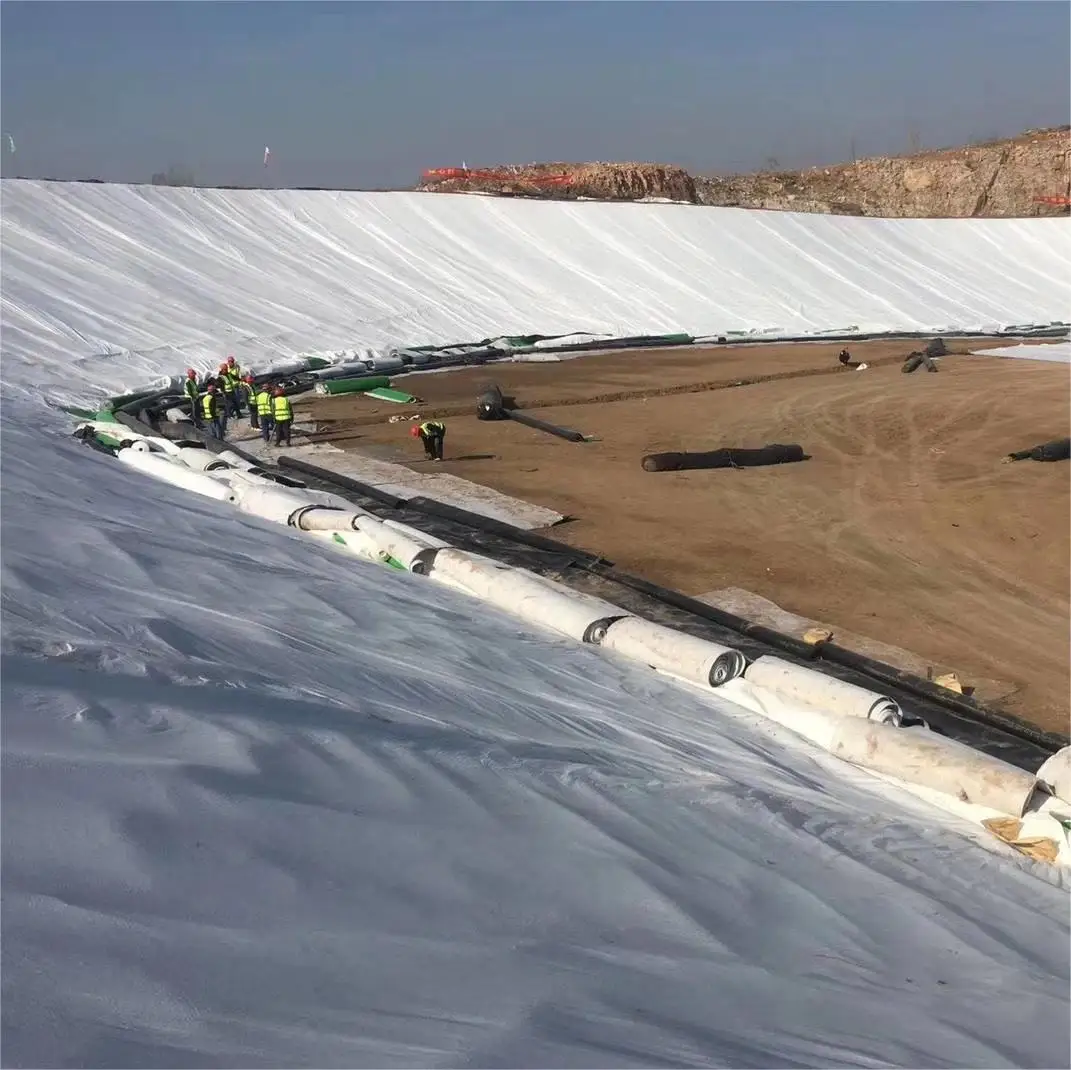 China factory Price 0.5mm 1mm 1.5mm 2mm hdpe geo membrane geomembrane dam fish farm tank pond liner