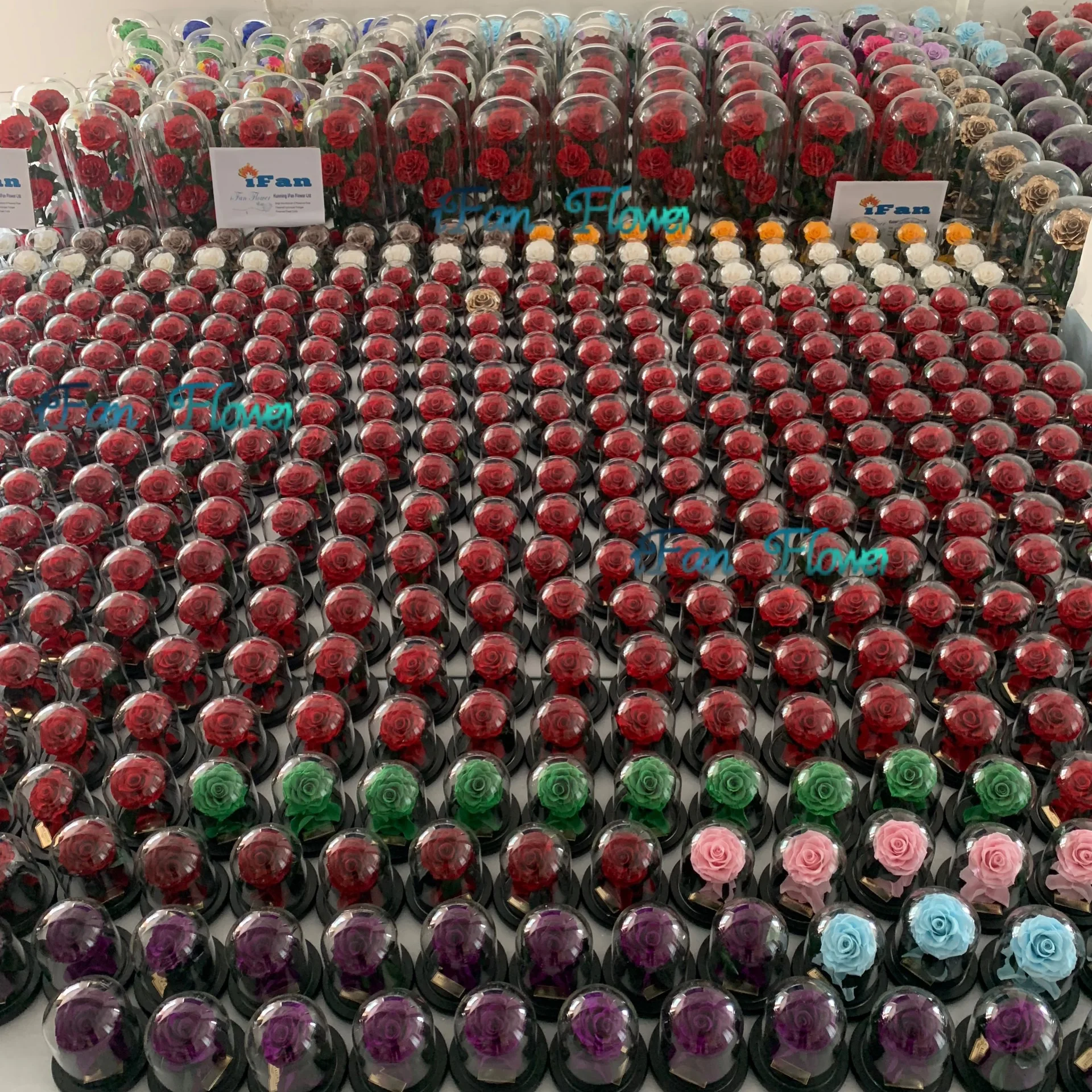 New edition preserved red roses in glass dome with black wooden base perfect gift idea for christmas